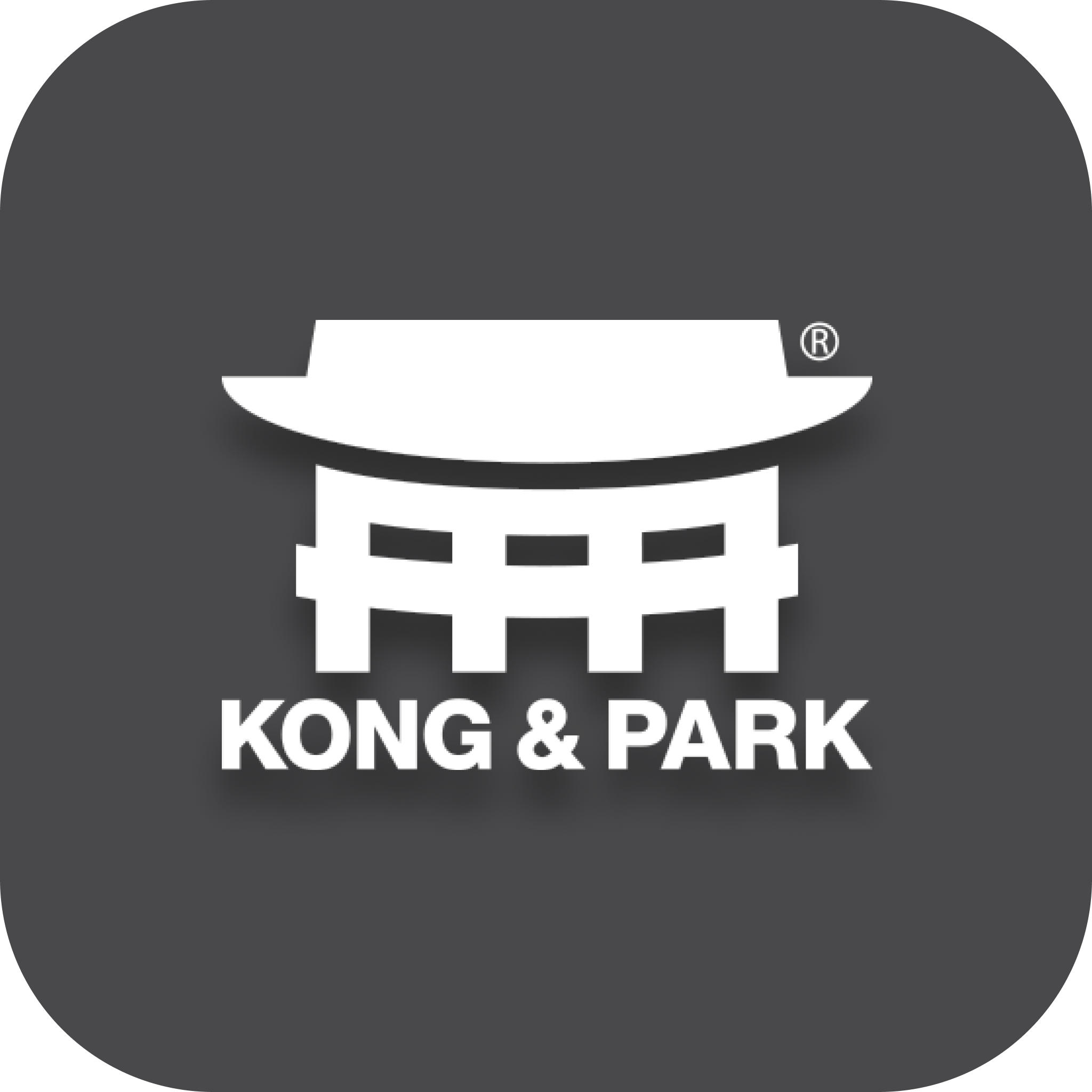 realdict-viet-icon